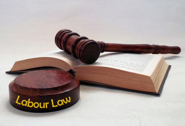 SEZs and Labour Law Compliance: Protecting Worker Interests SEZs and Labour Law Compliance: Protecting Worker Interests