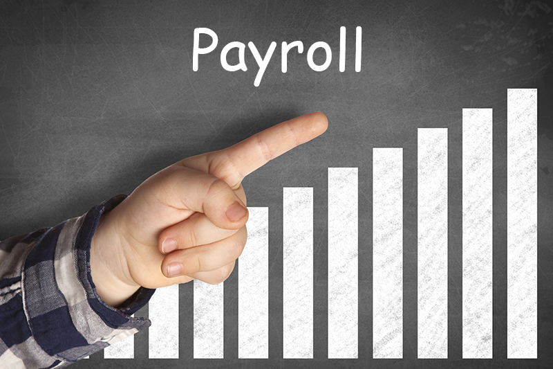 How to do effective payroll management in startups?