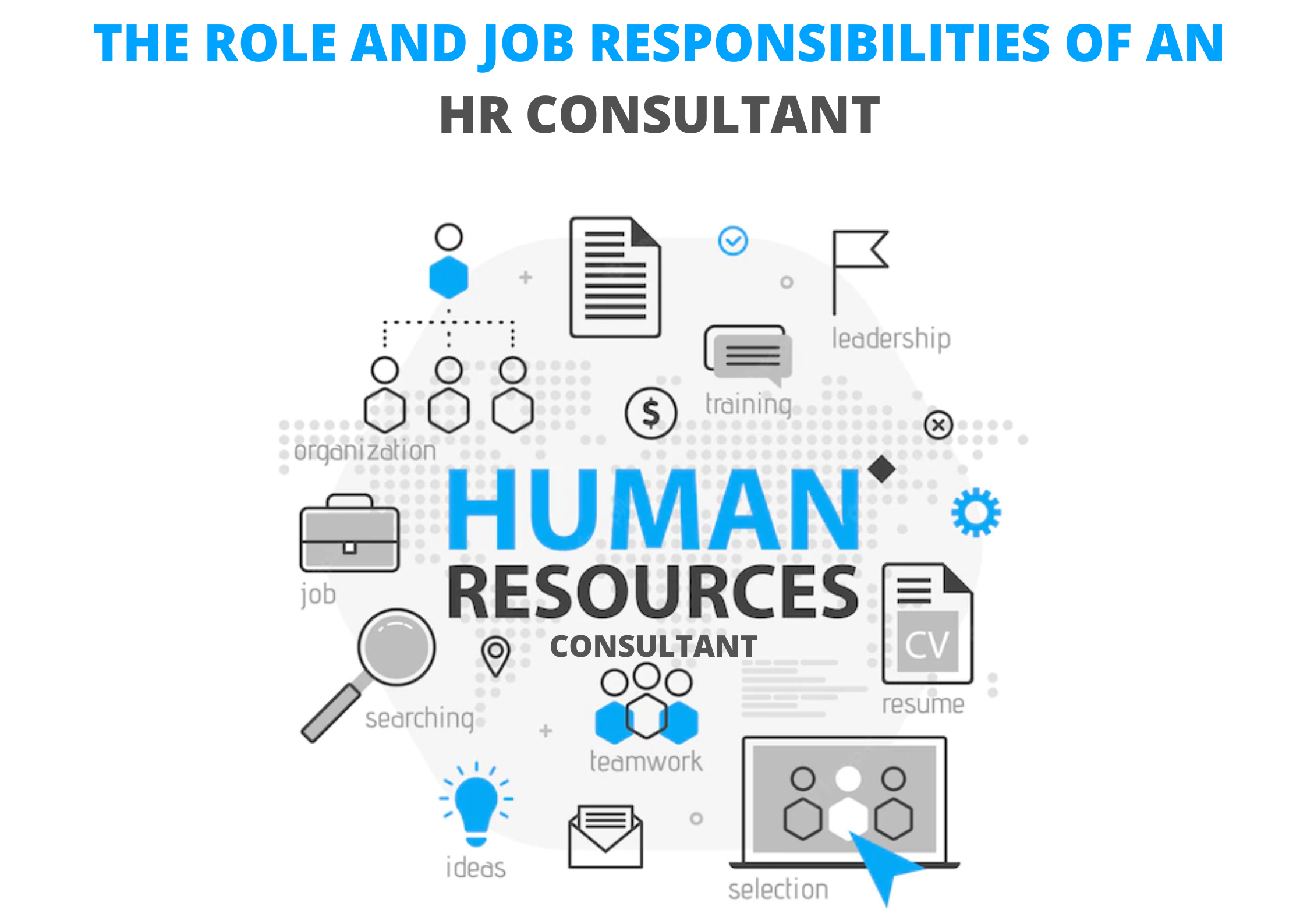 The Role and Job Responsibilities of an HR Consultant